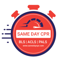 Same day logo